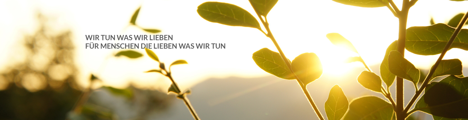 Teaser Bild